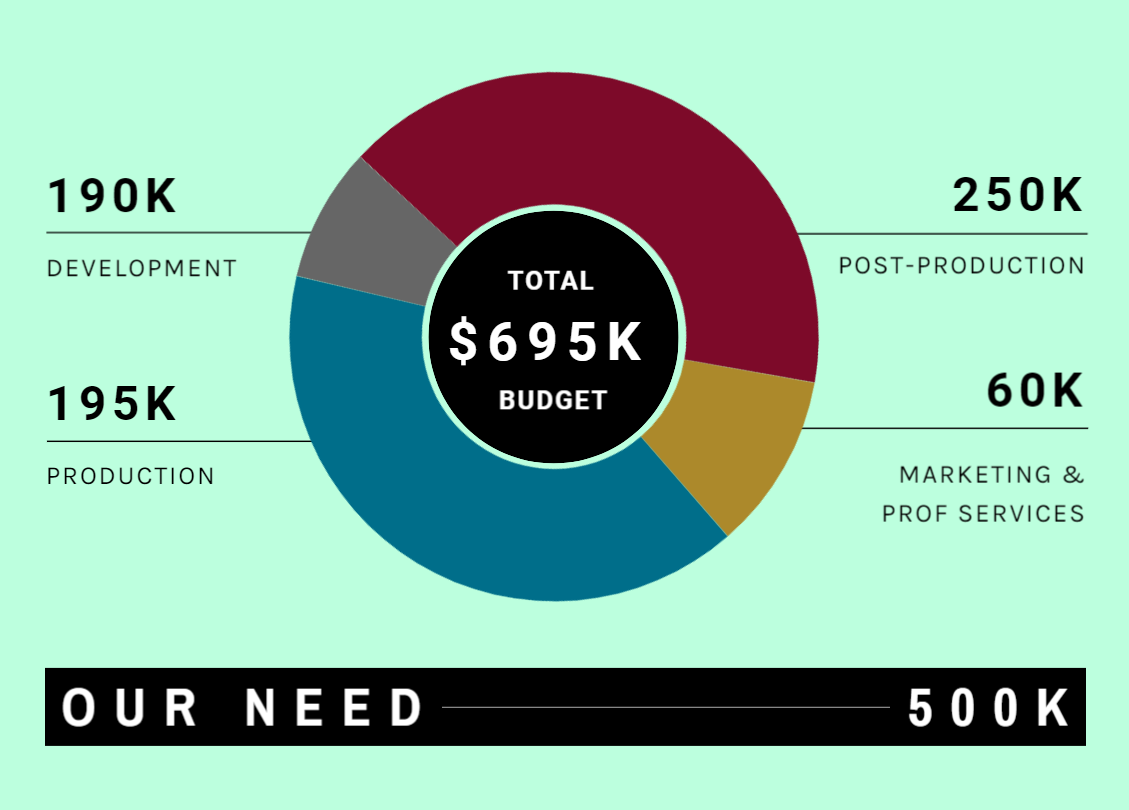 Budget pie chart showing $190K development; $195K Production; $250K Post-Production; $60K Marketing/Prof Services. Our Need: $500K